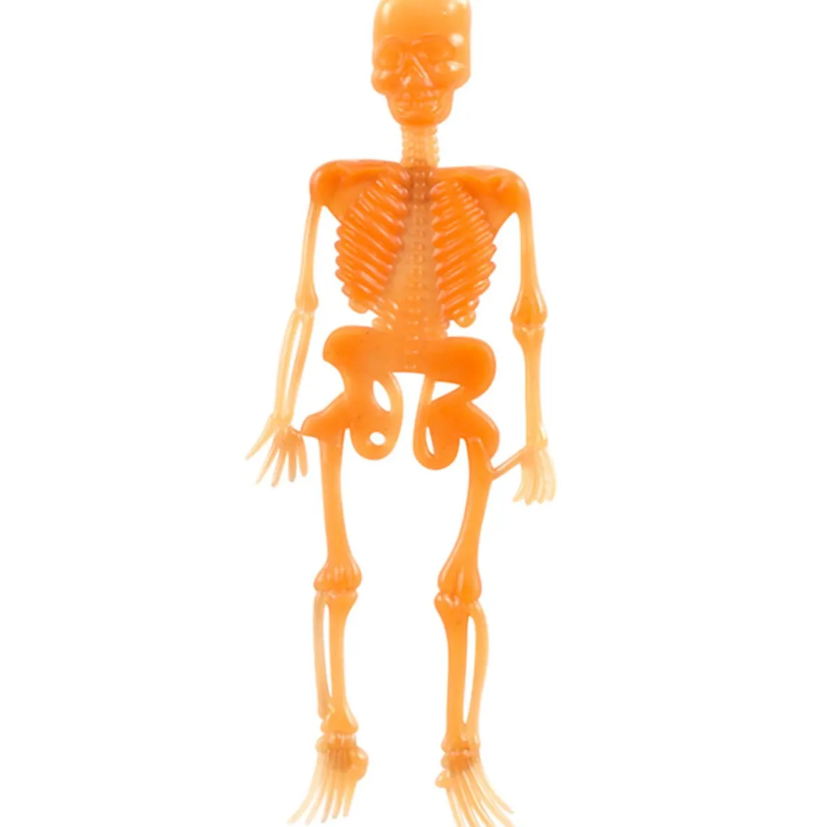 Animaux effrayants Halloween x50-Gifi Outlet