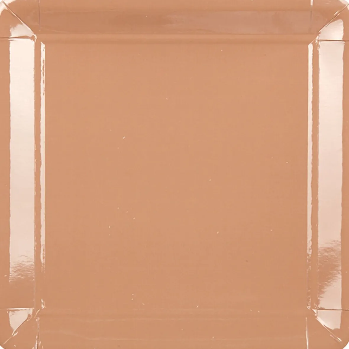 Assiette carton marron x8-Gifi