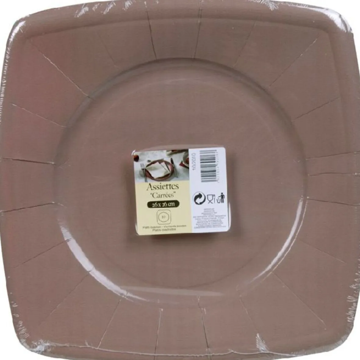 Assiette carton taupe X10-Gifi Hot