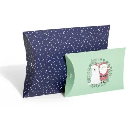 Boîte cadeau berlingot Noël enfant x2-Gifi New