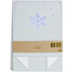 Boîte cadeau Noël pliable motif flocon iridescent-Gifi Best