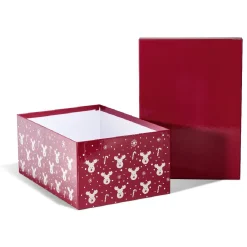 Boîte de Noël motif renne flocon canne à sucre rouge et blanc x2-Gifi Sale