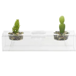 Centre de table plante grasse artificielle x2-Gifi Online