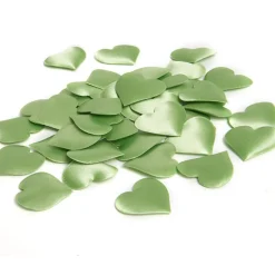 Coeur en mousse vert anis x40-Gifi