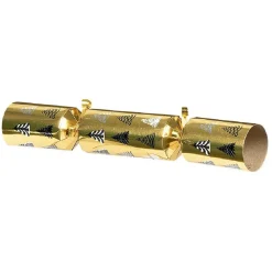 Crackers festifs adultes x6-Gifi New