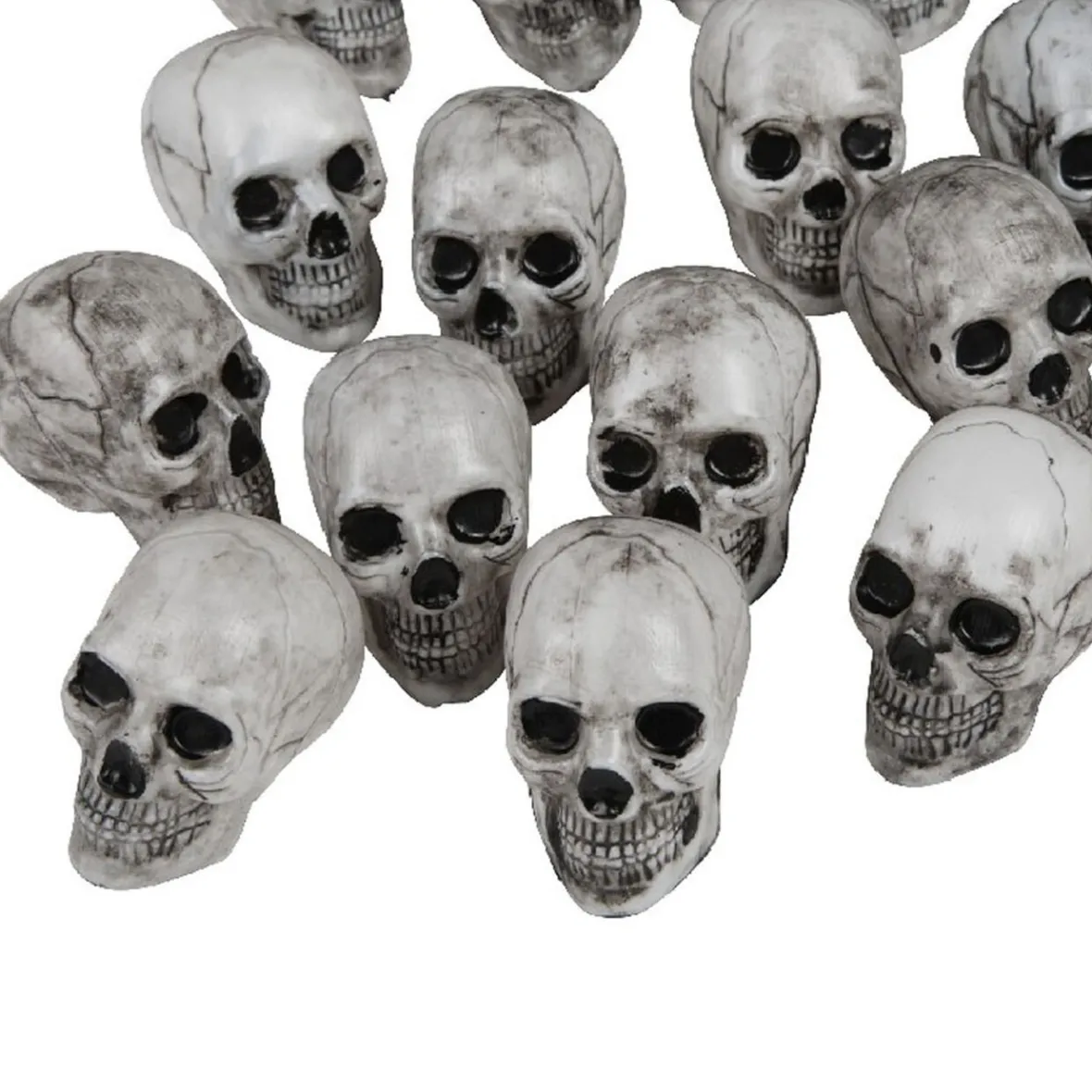 Crâne déco de table x10-Gifi Outlet