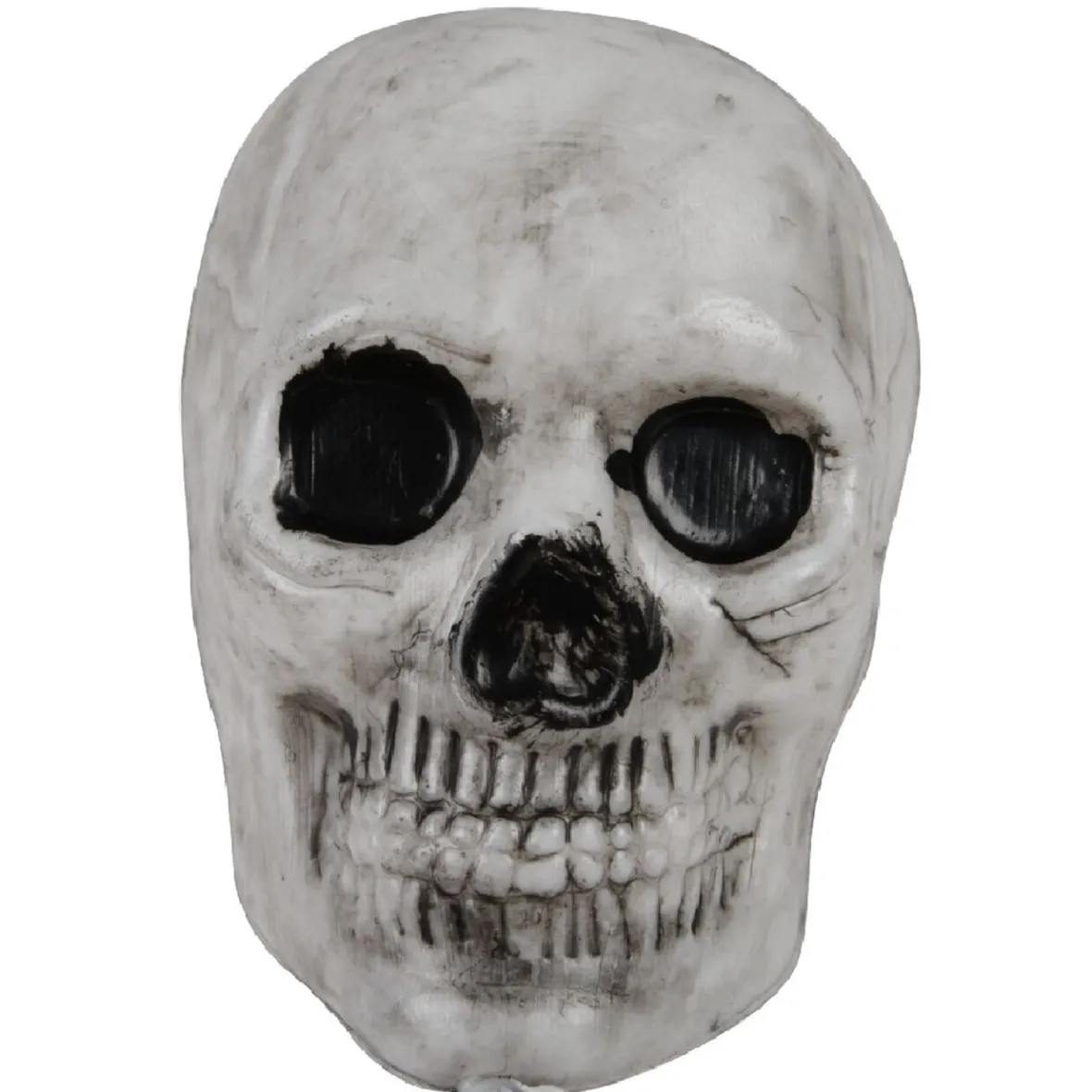 Crâne déco de table x10-Gifi Outlet