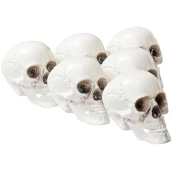 Crâne déco Halloween blanc x6-Gifi Best