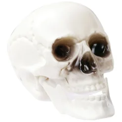 Crâne déco Halloween blanc x6-Gifi Best