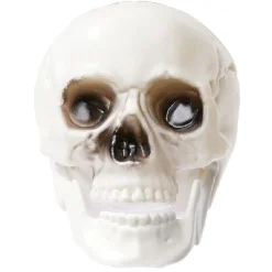 Crâne déco Halloween blanc x6-Gifi Best