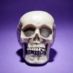 Crâne décoration Halloween 19x15xH16cm-Gifi