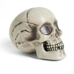 Crâne décoration Halloween 19x15xH16cm-Gifi