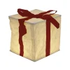 Décoration cadeau lumineux 8 LED blanc chaud H23 cm-Gifi Online
