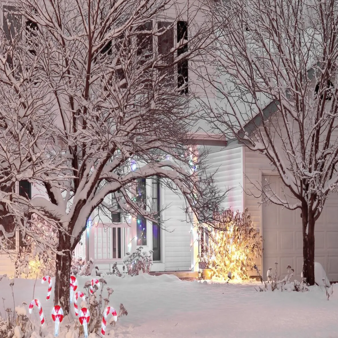 Décoration Noël sucre d'orge à planter LED H27cm-Gifi New