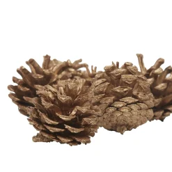 Décoration Pomme de pin naturelle à poser x 12-Gifi Best