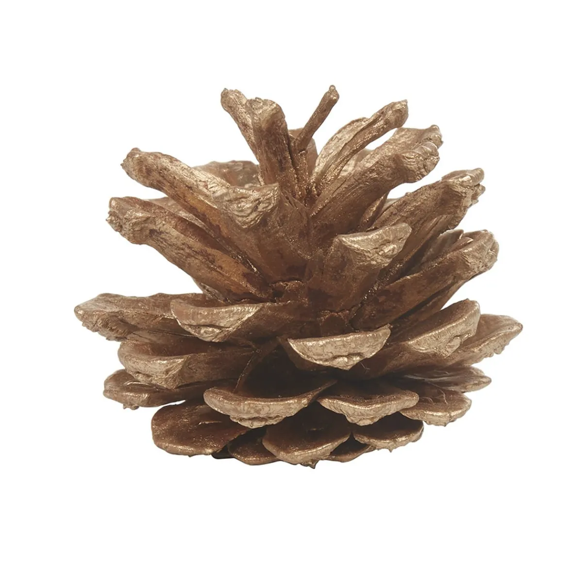 Décoration Pomme de pin naturelle à poser x 12-Gifi Best