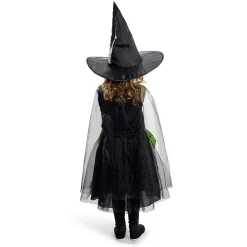 Déguisement enfant Halloween sorcière robe chapeau noir vert 4/6ans-Gifi Sale