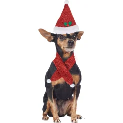 Déguisement Noël bonnet et écharpe pour chien-Gifi