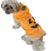 Déguisement pour chien citrouille-Gifi Discount