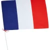 Drapeau France avec hampe en plastique-Gifi Discount