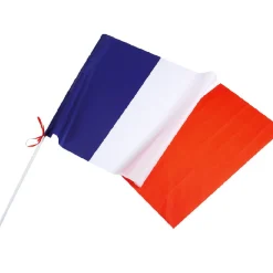 Drapeau France avec hampe en plastique-Gifi Discount