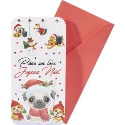Enveloppe cadeau porte-billets-Gifi New
