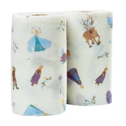 Essuie tout Reine des neiges X2-Gifi Online