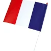 Fanion mini drapeau France x6-Gifi Online