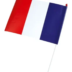 Fanion mini drapeau France x6-Gifi Online