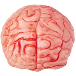 Faux cerveau sanglant en plastique-Gifi Sale