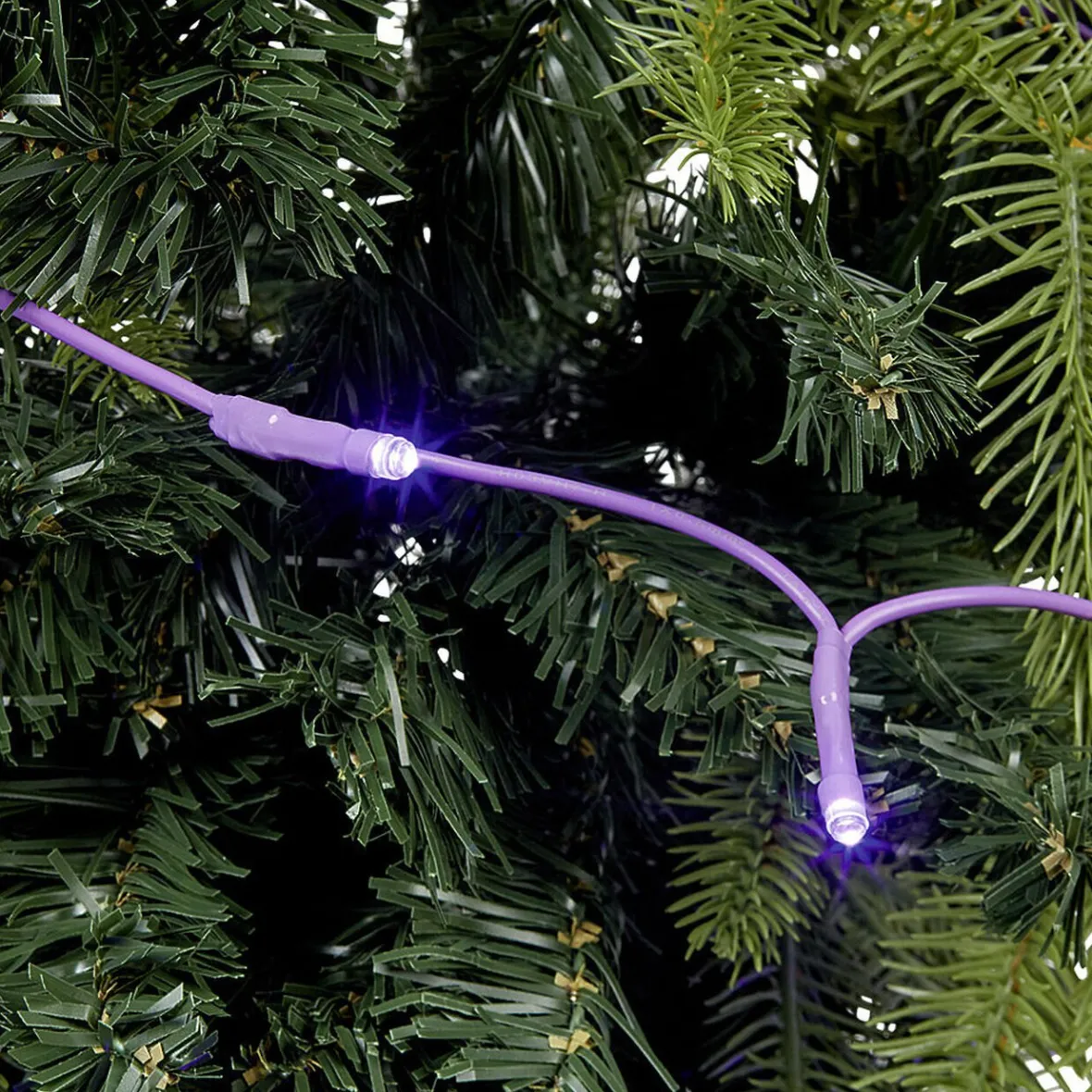 Guirlande électrique 50 led violet fixe L. 4,9 m-Gifi Outlet