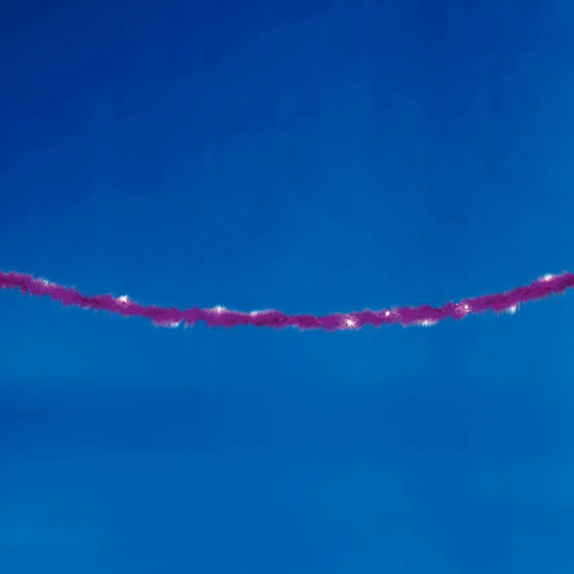 Guirlande électrique plume violette 1,9 m-Gifi Discount