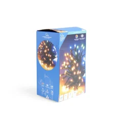Guirlande lumineuse extérieur 400LED cluster multicolore 8m-Gifi