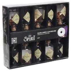 Guirlande lumineuse LED bouteille 1,35 m-Gifi Outlet