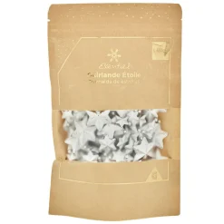 Guirlande mini Étoile Argentée 1,5 m-Gifi