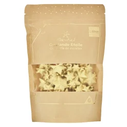 Guirlande mini Étoile Dorée 1,5 m-Gifi