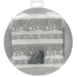 Kit jetable assiette + serviette motif Noël argenté x20-Gifi