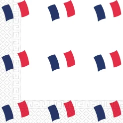 Kit vaisselle jetable Euro 2021 France pour 8 personnes-Gifi Discount