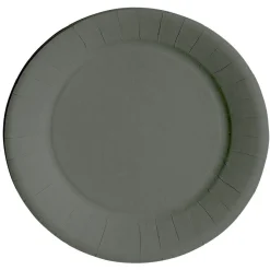 Lot de 10 assiettes en carton gris Ø18 cm-Gifi