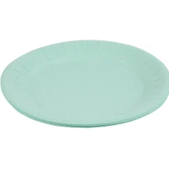 Lot de 10 assiettes en carton vert d'eau Ø23 cm-Gifi Clearance