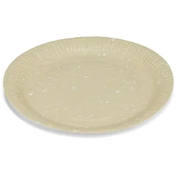 Lot de 8 assiettes motif dinosaures carton Ø23cm-Gifi Best