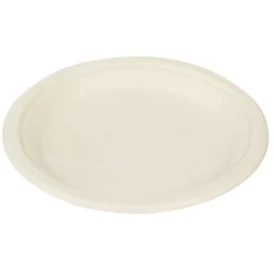 Lot de 50 assiettes plates rondes jetables en canne à sucre-Gifi