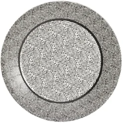 Lot de 10 assiettes plates rondes carton motif géométrique blanc et noir Ø23cm-Gifi Clearance
