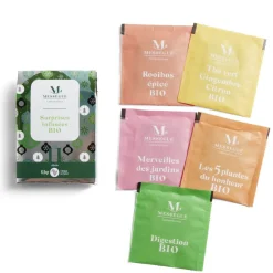 Lot de 5 infusettes Noël - modèle 1-Gifi Sale