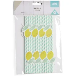 Lot de 16 pailles décorées papier L25cm-Gifi New