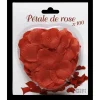 Lot de 100 pétales de rose rouge-Gifi New