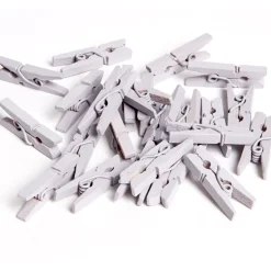 Mini pince argentée x24-Gifi Discount