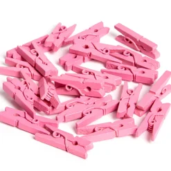 Mini pince rose x24-Gifi Best