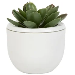 Mini plante décorative-Gifi