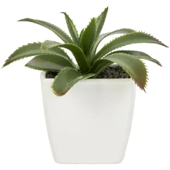 Mini plante décorative-Gifi
